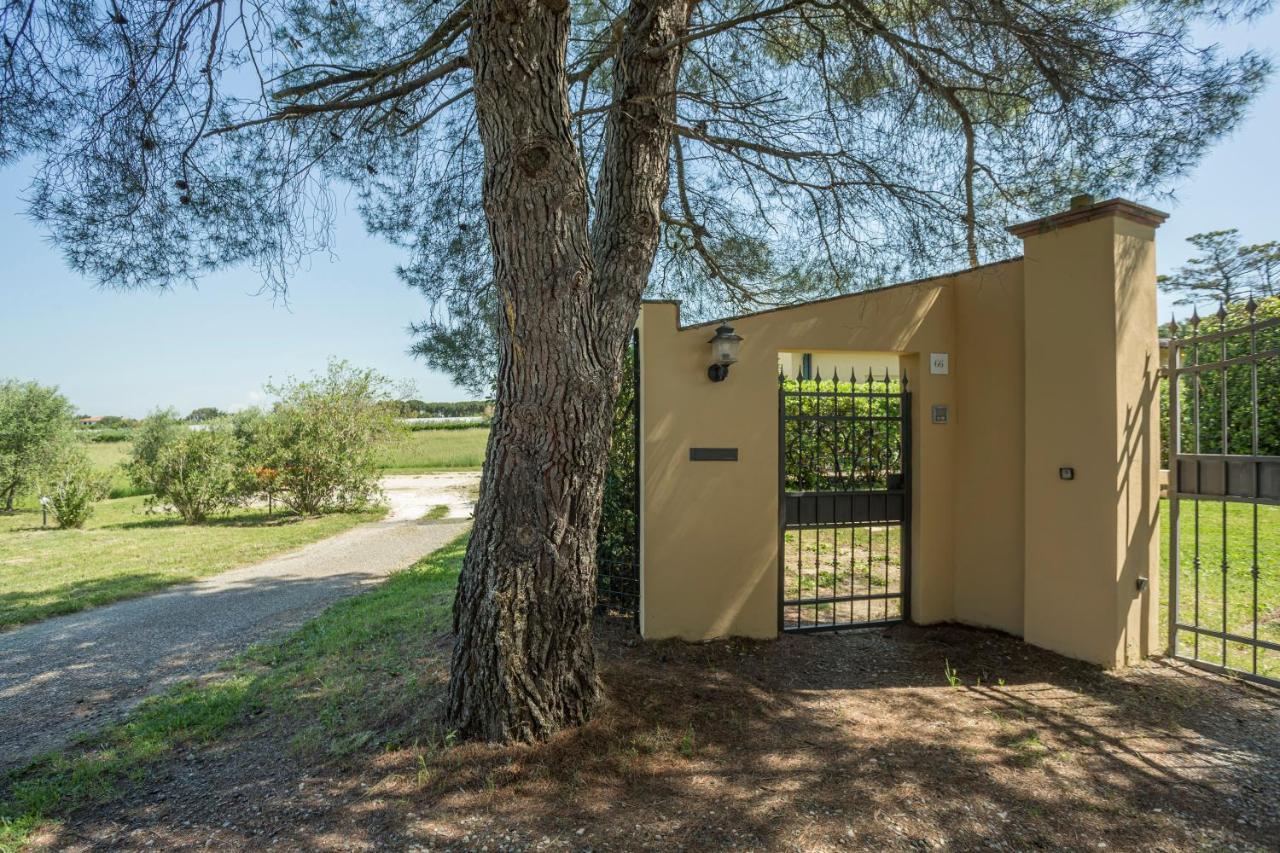 Podere Belvedere Livorno Zewnętrze zdjęcie